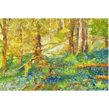 Гора (4) - Димитър Димитров Гора (4) - Димитър Димитров