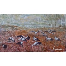 Щъркели Щъркели